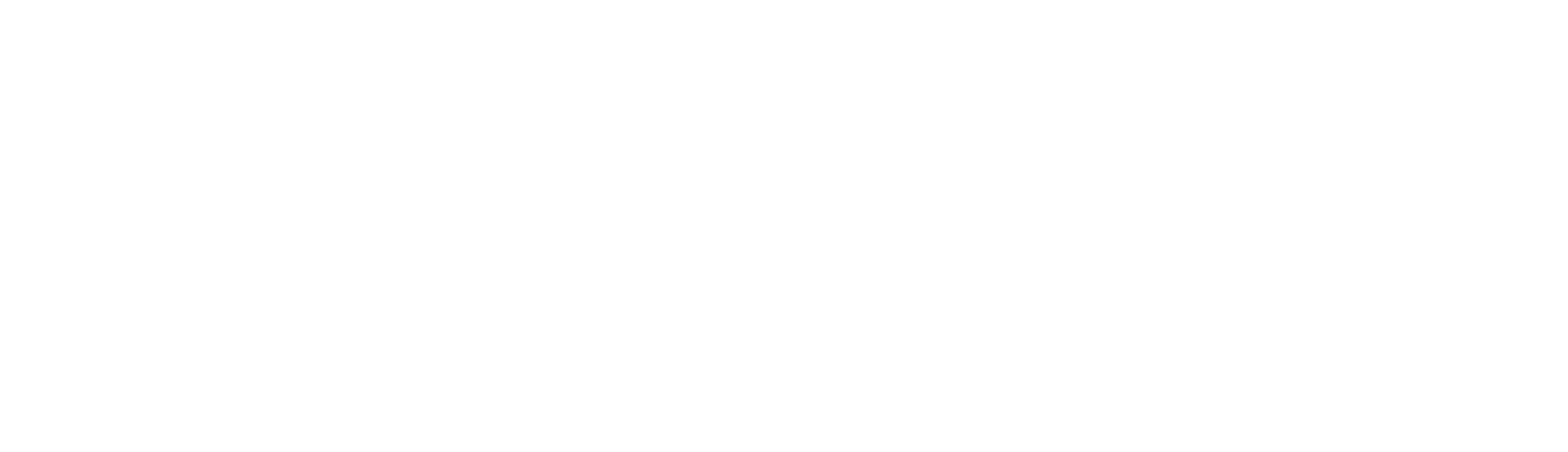 Hayes Business Support Services logo